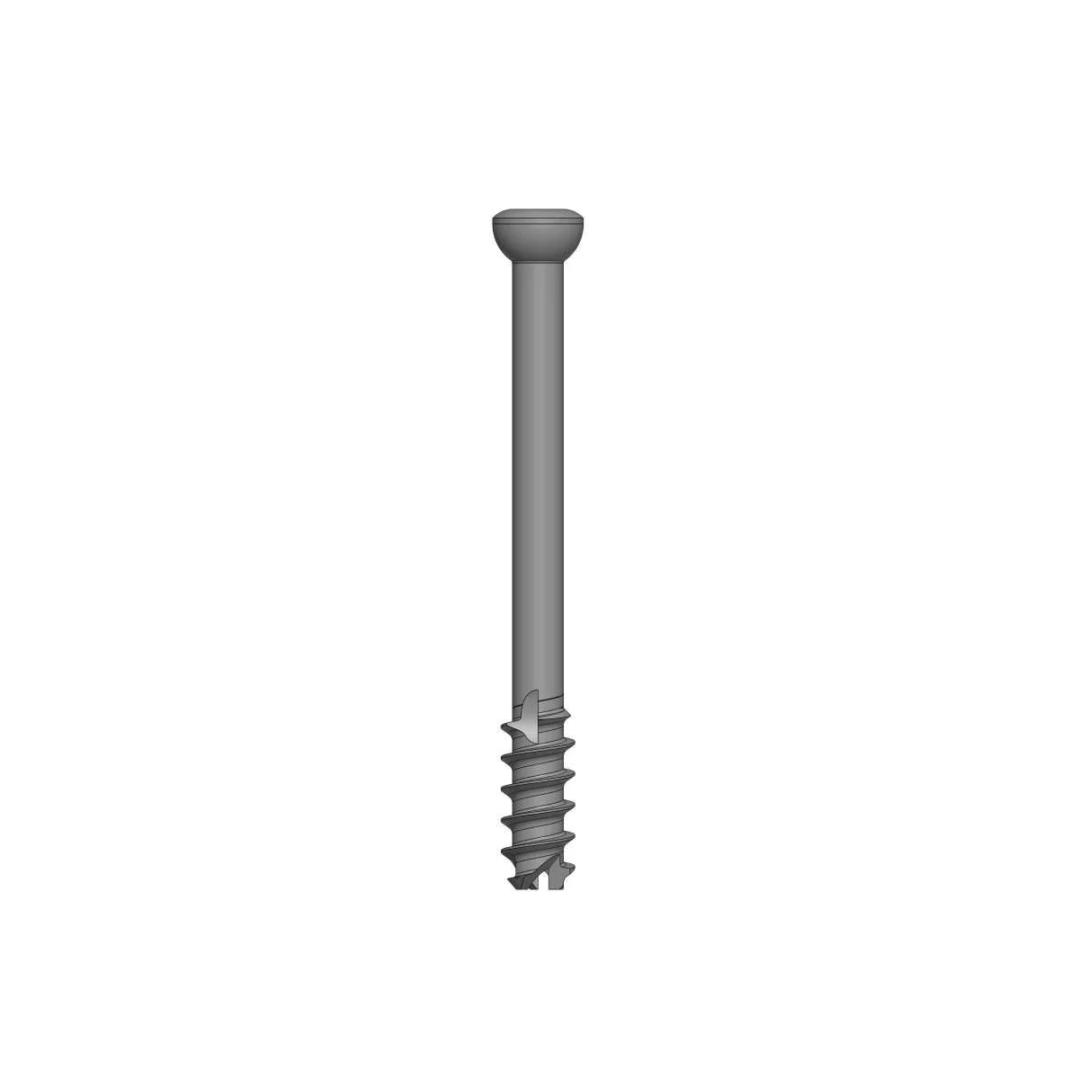 Large Cannulated Cancellous Screw, 6.5 MM Dia. 16 MM Thread