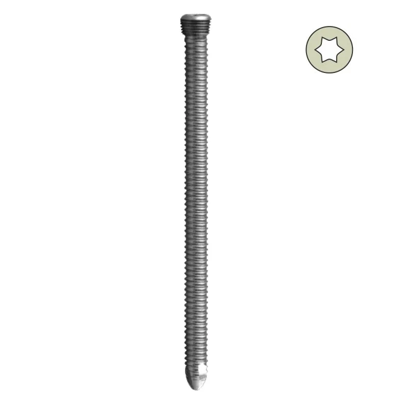 3.5mm Locking Head Star Drive Screw – Self Tapping – Titanium