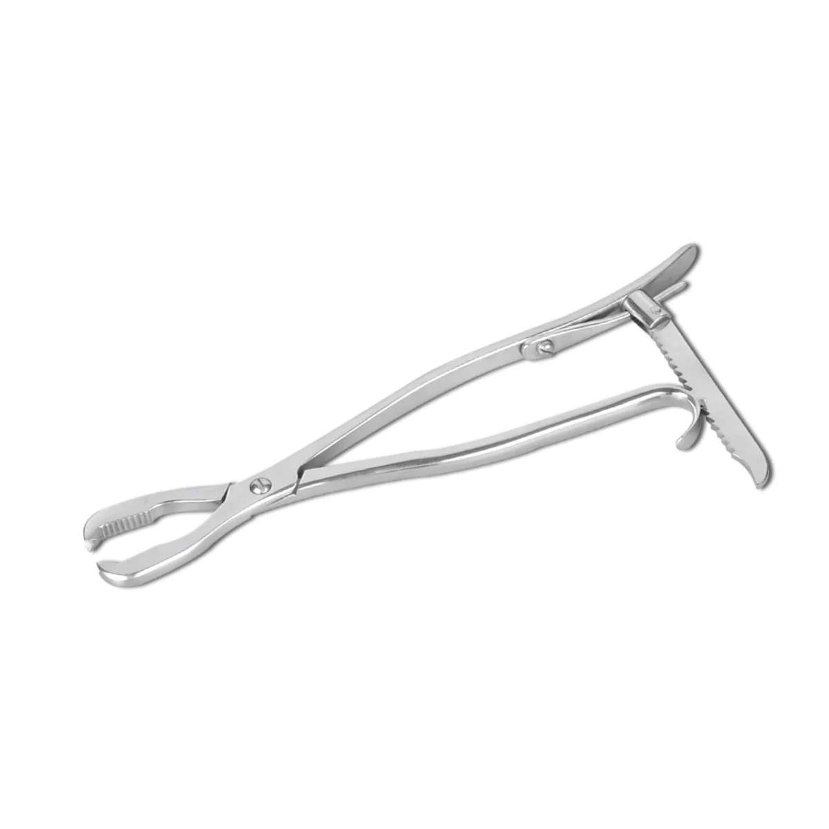 Lane Bone Holding Forceps with Ratchet
