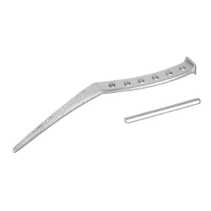 Rasp for Austin Moore – Standard Stem