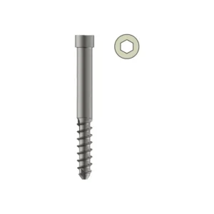 6.4mm Proximal Bolt Solid (for EFN)-Titanium