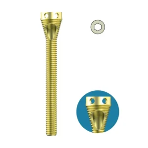 MHN Multifix Proximal Screw – Dia. 4.5mm – Titanium