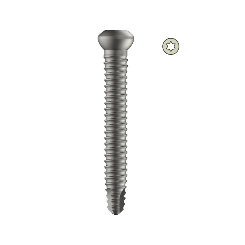 Tarsofix™ Distal Locking Bolt for Ankle Nail (5mm Dia.)