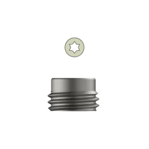 Tarsofix™ Inner Set Screw for Ankle Nail – Titanium