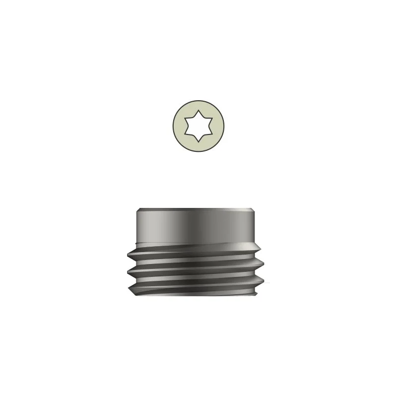 Tarsofix™ Inner Set Screw for Ankle Nail – Titanium