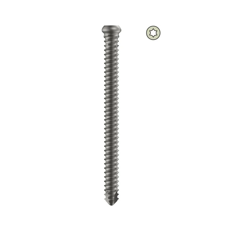 Tarsofix™ Proximal Locking Bolt for Ankle Nail (6mm Dia.)