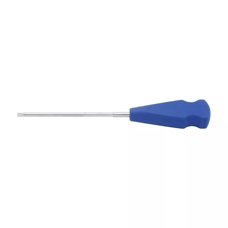 Star Drive Screw Driver – T30